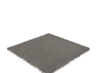 carpet HAMPEN 80x80 3D model
