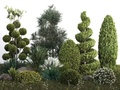 Group outdoor plants  Hedges 2 3D model