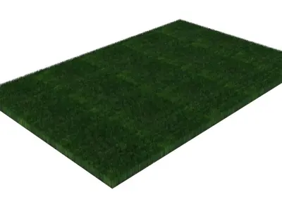 Grass With Growing Animation 3D model