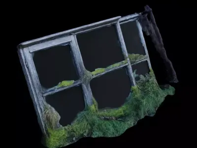 4K Old Overgrown Wooden Window Frame Photoscan Low-poly 3D model