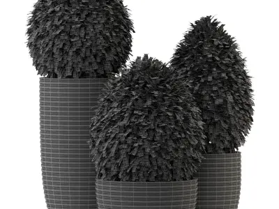 Plants collection 329 3D model