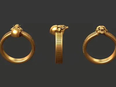 Reapers Embrace Skull Ring Exquisite Gothic Jewelry Model Free 3D print model