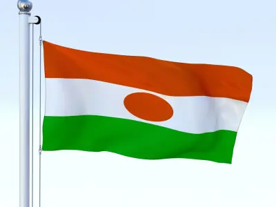 Animated Niger Flag Low-poly 3D model