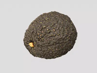 Avocado - Photorealistic Scan  Low-poly 3D model