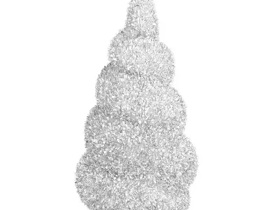 Boxwood Plant Buxus sempervirens 3D model