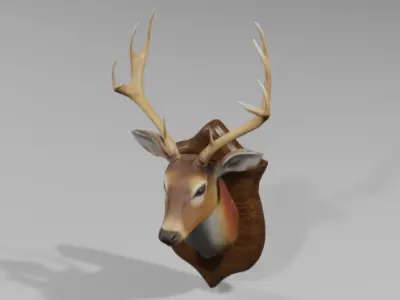 Realistic Mounted Deer Head  Low-poly 3D model