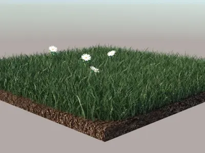 Grass daffodils in 3D model