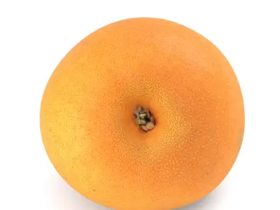 Snow Pear - Photorealistic  Scan Low-poly 3D model