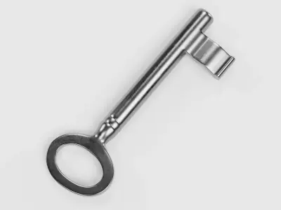New Key V1 - Universal Hollow Barrel Skeleton Key 3D model