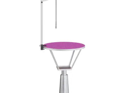 Blovi Event Hydraulic Dog Grooming Table 3D model