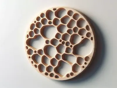 Voronoi Circle Wall Mount 3D 3D print model