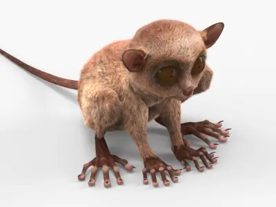  Tarsier Fur for Cinema 4D 