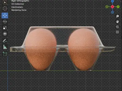 Egg Plastic Packaging 3D model
