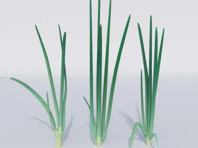 Vegetable patch Low-poly 3D model