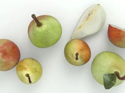 Pear 3d models 3D model