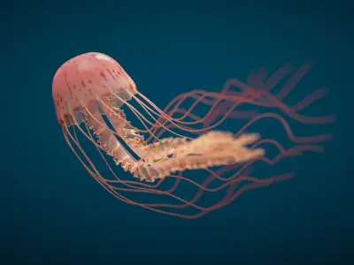  Jellyfish Long Pro Rigged 