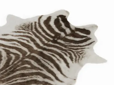 Zebra Gray Rug 3D model