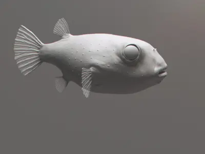  Puffer Fish 