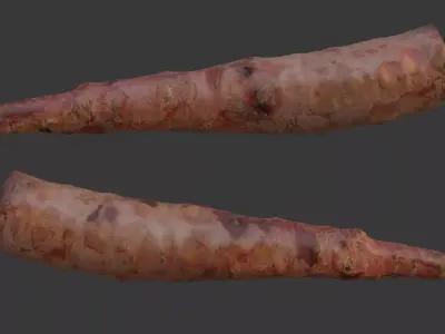  Uprooted Tree Root Scan Low-poly 3D model