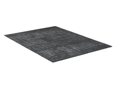 TESSARA HAND-KNOTTED WOOL RUG B 3D model