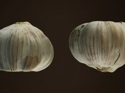 Photogrammetry - Garlic - 4K Low-poly 3D model