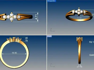 Light weight ring model  3D print model shop