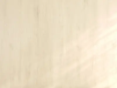 Wood material v09 Texture