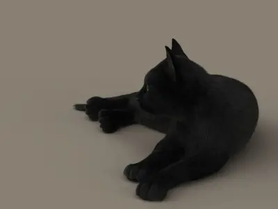  Cat (2) (Black) (RIG) (FUR) 