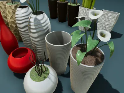 Plants and vases Low-poly 3D model