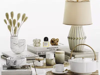 Decorative Set 03 3D model 15