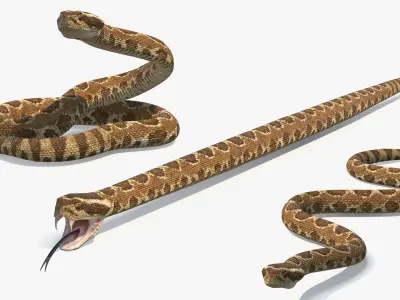  Light Rattlesnake Rigged for Maya 