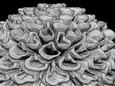 Gold Flower 3D print model