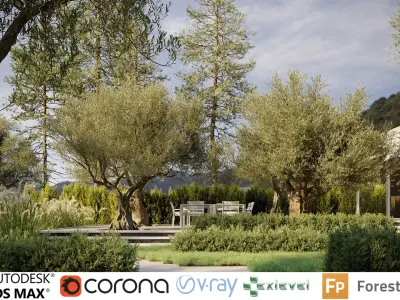  Olive Tree Collection - Include GrowFX and Mesh file 