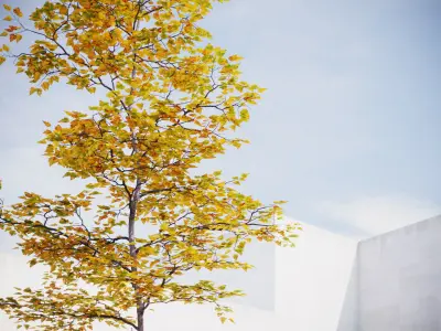 Small Autumn tree vpt027 3D model