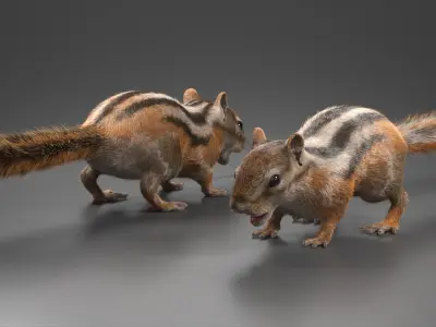  Forest Rodent Chipmunk Fur 