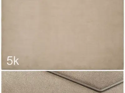 Carpet set 3100 - Wool Rug - 5k 3D model