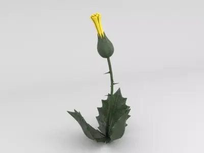 plant Low-poly 3D model get
