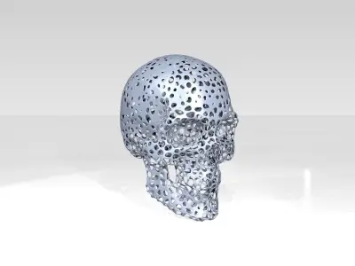 Skull Voronoi 3D model