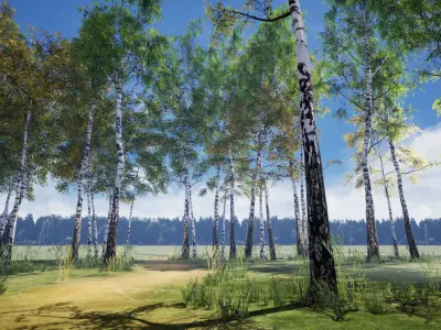 Birch-Tree Grove - low poly Low-poly 3D model