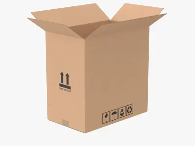  Cardboard Box Half Open Bundle 