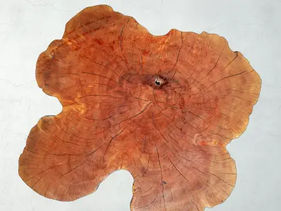 Lychee Stump Table 3D model