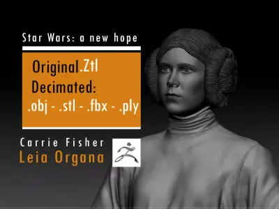 Carrie Fisher - Leia Organa - Star Wars A new hope 3D print model