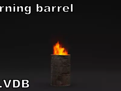 Burning barrel vdb 3D model