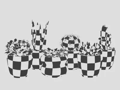 Collection Of Potted Cactus Plants 3D model