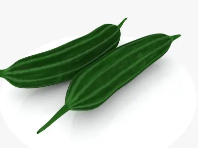 Ridge Gourd Low-poly 3D model