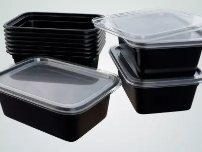 Reusable Lunch Box Container - Disposable 3D model