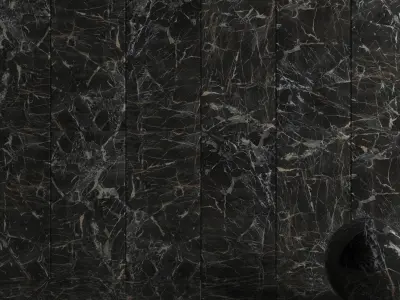 Wall Tiles Museum Laurent Black 60x120 Set 2 Texture