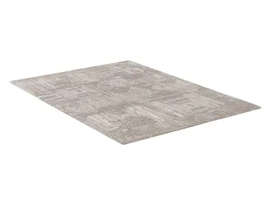 TESSARA HAND-KNOTTED WOOL RUG 3D model