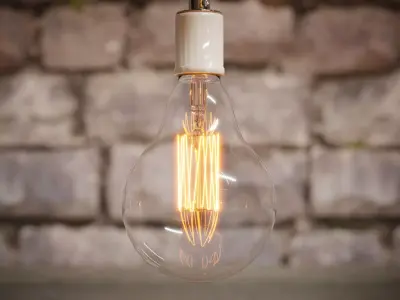 Big Round Edison Bulb   3D model