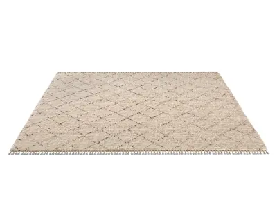 HADIR WOOL RUG 3D model
